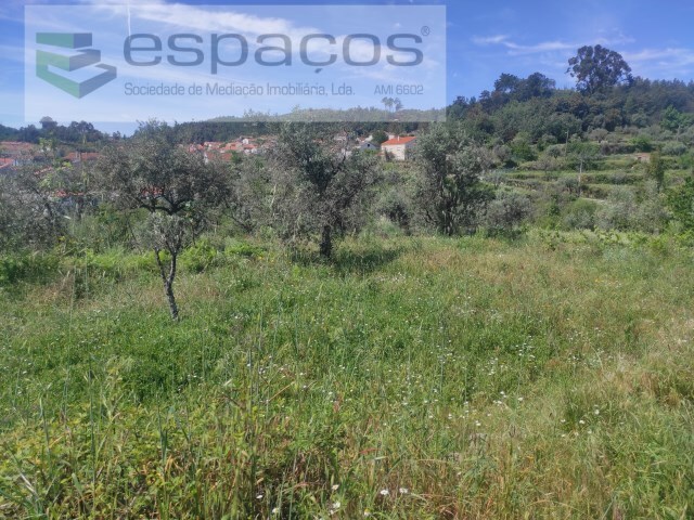 Terreno Rstico - So Vicente da Beira, Castelo Branco, Castelo Branco - Imagem grande