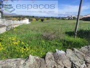 Terreno Rstico - Castelo Branco, Castelo Branco, Castelo Branco - Miniatura: 4/5