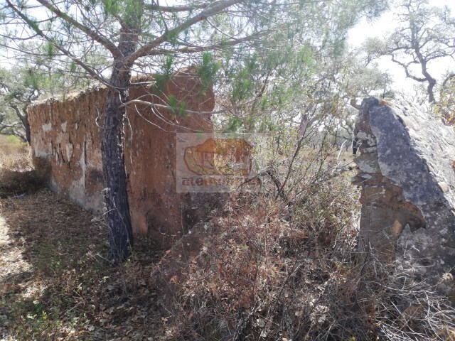 Terreno Urbano - Santa Margarida da Serra, Grndola, Setbal - Imagem grande