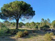 Terreno Urbano - Santa Margarida da Serra, Grndola, Setbal - Miniatura: 1/9