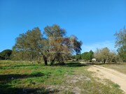 Terreno Urbano - Santa Margarida da Serra, Grndola, Setbal - Miniatura: 8/9