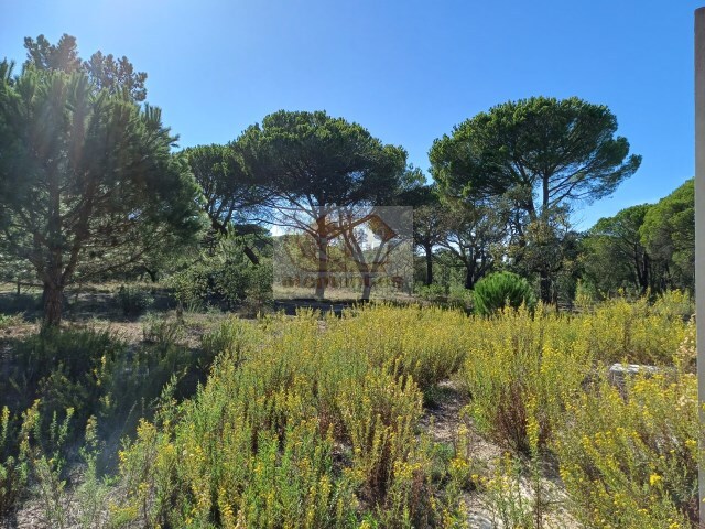 Terreno Urbano - Melides, Grndola, Setbal - Imagem grande