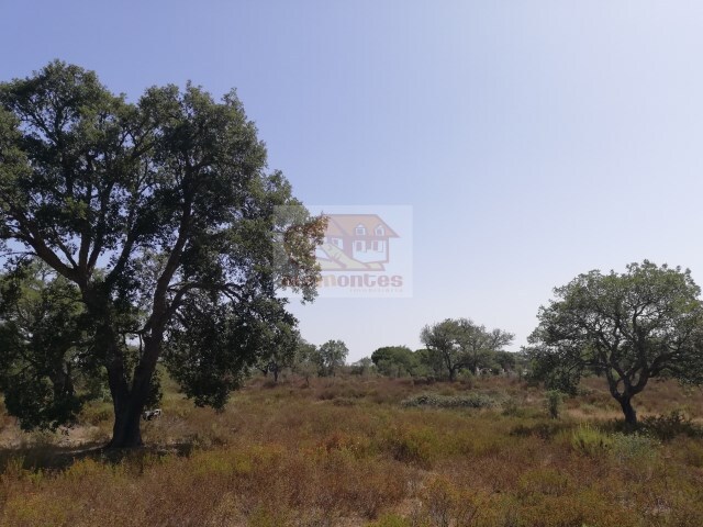 Terreno Rstico - Santa Margarida da Serra, Grndola, Setbal - Imagem grande