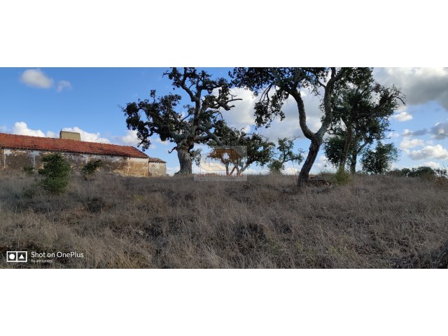 Terreno Urbano - Santa Margarida da Serra, Grndola, Setbal - Imagem grande