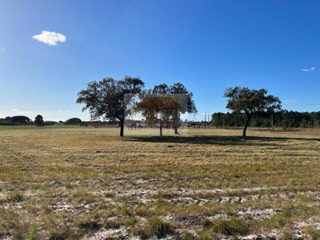 Quinta - Santa Margarida da Serra, Grndola, Setbal - Imagem grande