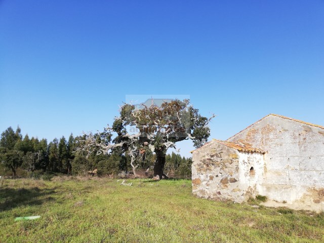 Terreno Urbano - Santa Margarida da Serra, Grndola, Setbal - Imagem grande