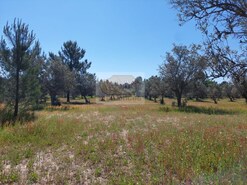 Terreno Rstico - Santa Margarida da Serra, Grndola, Setbal