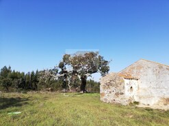 Terreno Urbano - Santa Margarida da Serra, Grndola, Setbal