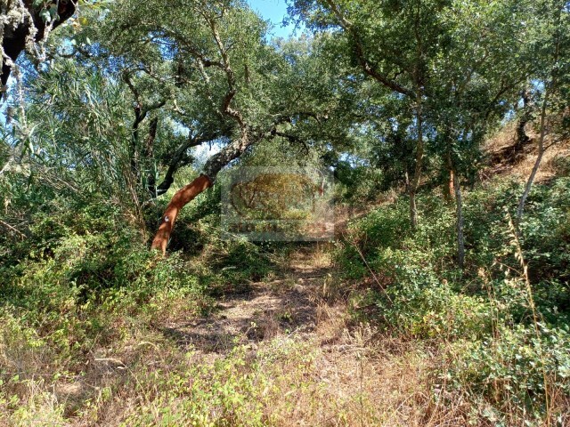 Terreno Rstico - Santa Margarida da Serra, Grndola, Setbal - Imagem grande