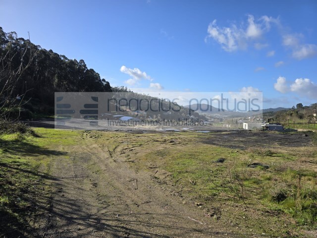 Terreno Rstico - Morreira, Braga, Braga - Imagem grande