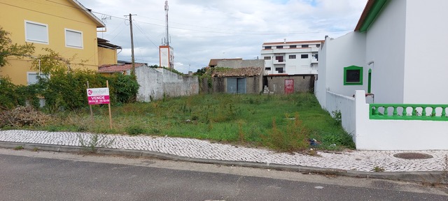 Terreno Rstico - Vieira de Leiria, Marinha Grande, Leiria - Imagem grande