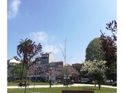 Apartamento T1 - Cedofeita, Porto, Porto - Miniatura: 2/6