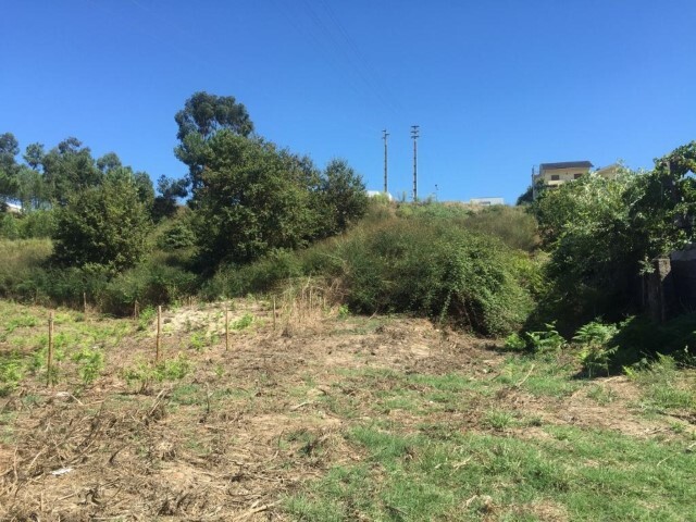 Terreno Urbano - Teles, Amarante, Porto - Imagem grande