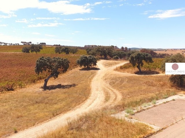 Terreno Rstico - Terrugem, Elvas, Portalegre - Imagem grande