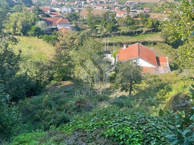 Quinta T3 - Areias de Vilar, Barcelos, Braga - Imagem grande