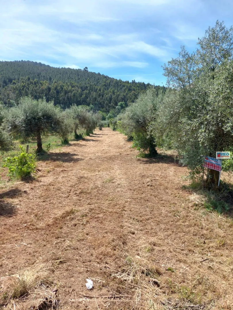 Terreno Rústico T0 - Paul, Covilhã, Castelo Branco - Imagem grande