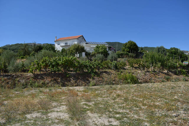 Quinta T2 - Teixoso, Covilh, Castelo Branco - Imagem grande