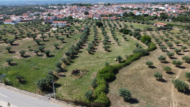 Terreno Rstico T0 - Ladoeiro, Idanha-a-Nova, Castelo Branco - Imagem grande