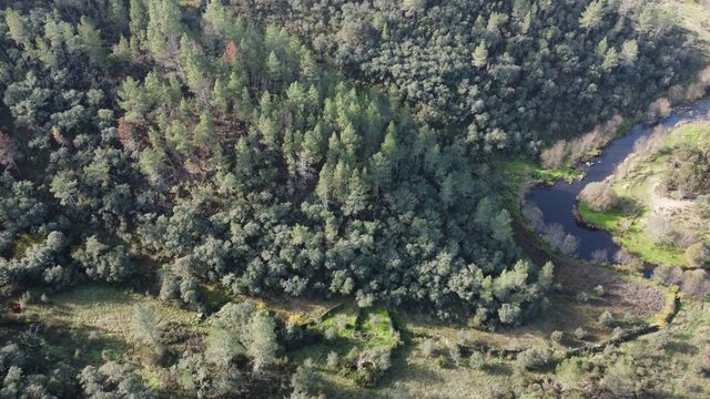 Terreno Rstico T0 - Benquerenas, Castelo Branco, Castelo Branco - Imagem grande