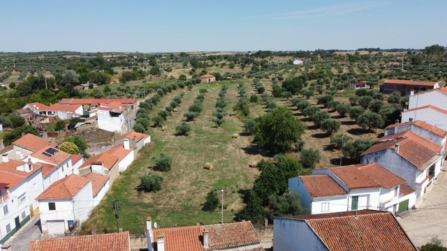 Quinta T0 - Ladoeiro, Idanha-a-Nova, Castelo Branco - Imagem grande