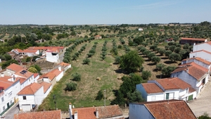 Quinta T0 - Ladoeiro, Idanha-a-Nova, Castelo Branco