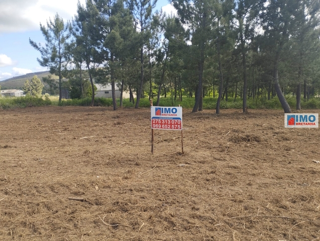 Terreno Rstico T0 - Estreito, Oleiros, Castelo Branco - Imagem grande