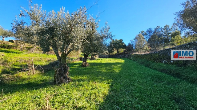 Quinta T0 - Cebolais de Cima, Castelo Branco, Castelo Branco - Imagem grande