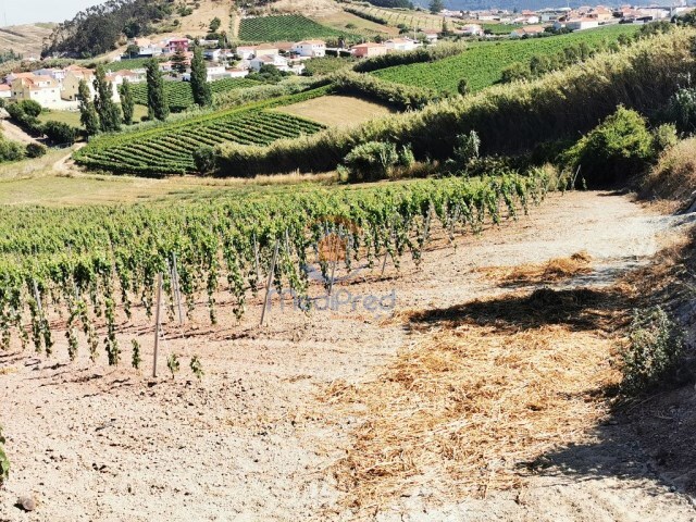 Terreno Urbano - Ventosa, Torres Vedras, Lisboa - Imagem grande