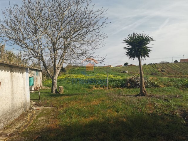 Terreno Rstico - Azueira, Mafra, Lisboa - Imagem grande