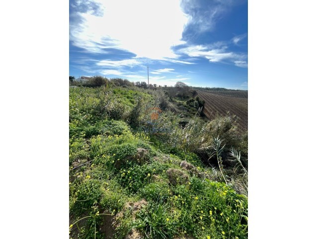 Terreno Urbano - Alenquer, Alenquer, Lisboa - Imagem grande