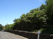 Terreno Rstico - Fonte do Bastardo, Praia da Vitria, Ilha Terceira - Miniatura: 3/4