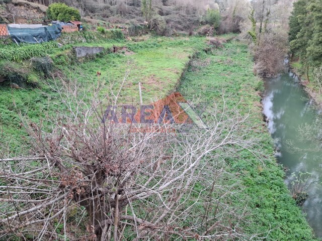 Terreno Rstico - Oliveira de Azemeis, Oliveira de Azemis, Aveiro - Imagem grande