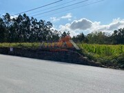 Terreno Industrial - Loureiro, Oliveira de Azemis, Aveiro - Miniatura: 4/7