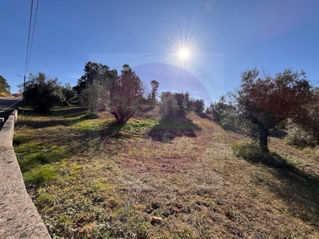 Terreno Rstico - Madalena, Tomar, Santarm - Imagem grande