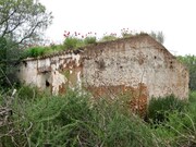 Terreno Rstico - So Bartolomeu de Messines, Silves, Faro (Algarve) - Miniatura: 2/2