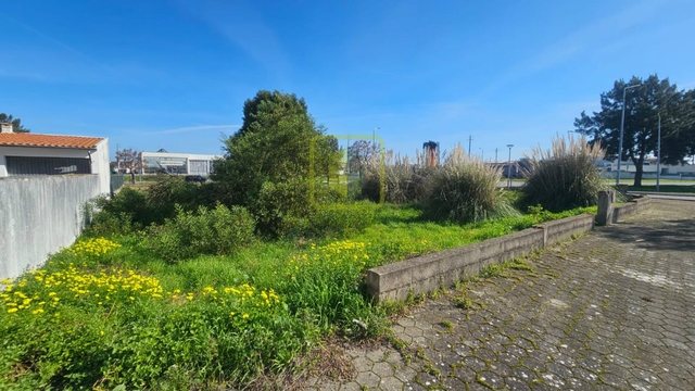 Terreno Urbano T0 - lhavo, lhavo, Aveiro - Imagem grande