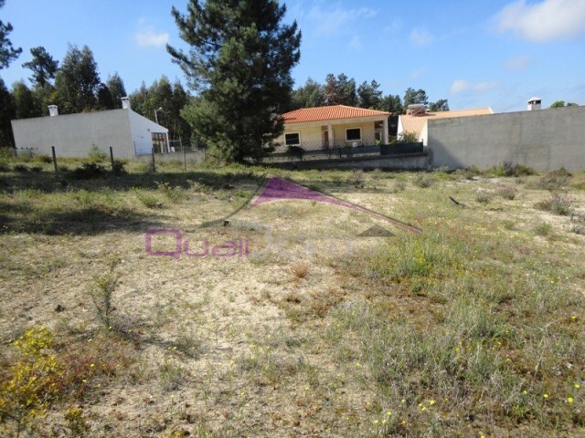 Terreno Urbano - Carregueira, Chamusca, Santarm - Imagem grande