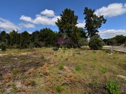 Terreno Urbano - Vila Nova da Barquinha, Vila Nova da Barquinha, Santarm