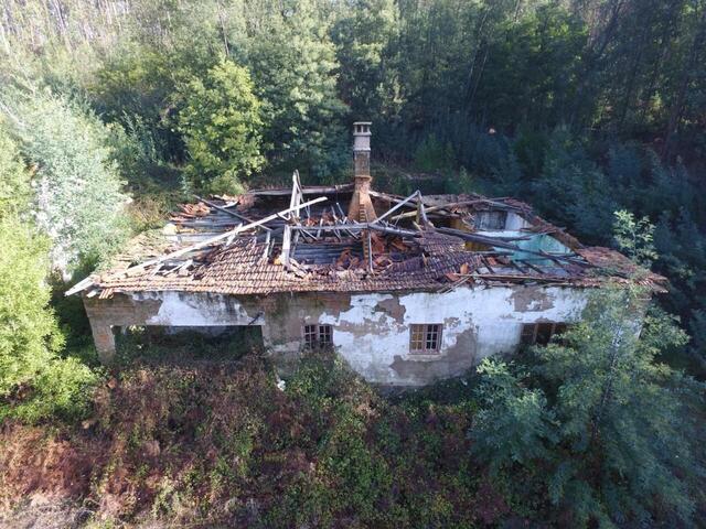 Quinta - Pinheiro da Bemposta, Oliveira de Azemis, Aveiro - Imagem grande