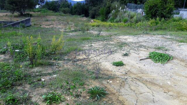 Terreno Rstico T0 - Santiago de Riba-Ul, Oliveira de Azemis, Aveiro - Imagem grande