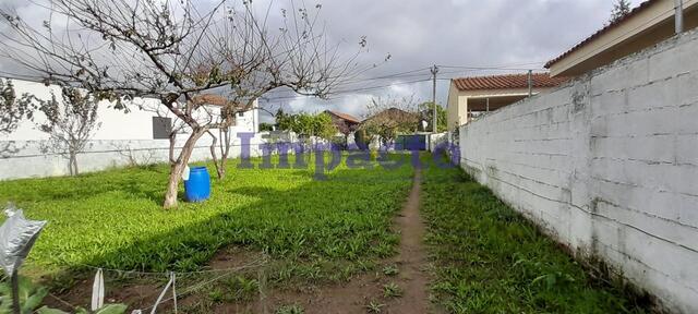 Terreno Rstico T0 - So Roque, Oliveira de Azemis, Aveiro - Imagem grande