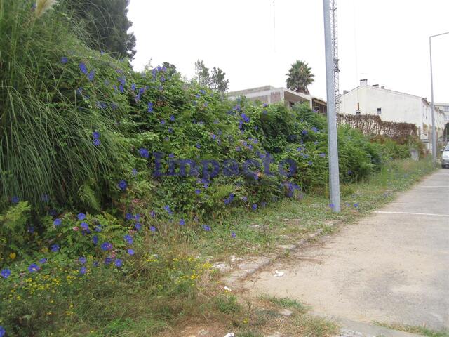 Terreno Urbano T0 - Vila de Cucujes, Oliveira de Azemis, Aveiro - Imagem grande