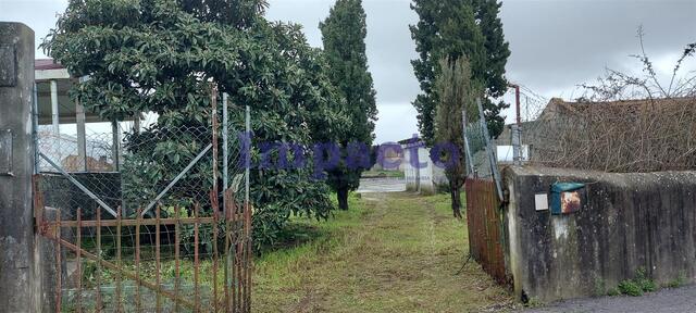 Terreno Rstico T0 - Maiorca, Figueira da Foz, Coimbra - Imagem grande