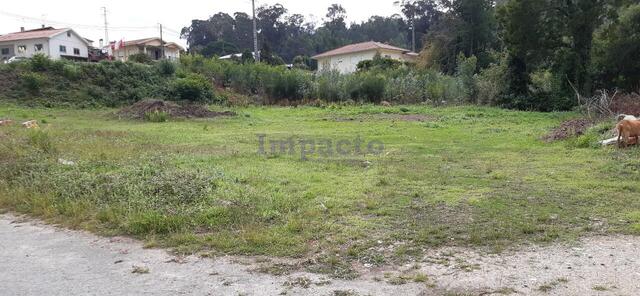 Terreno Rstico T0 - So Roque, Oliveira de Azemis, Aveiro - Imagem grande