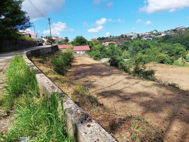 Terreno Rstico T0 - Santiago de Riba-Ul, Oliveira de Azemis, Aveiro - Imagem grande