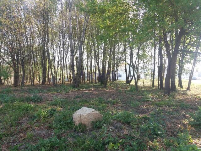 Terreno Rstico T0 - Lobo, Santa Maria da Feira, Aveiro - Imagem grande