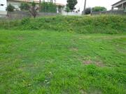 Terreno Rstico T0 - Vila de Cucujes, Oliveira de Azemis, Aveiro - Miniatura: 5/9