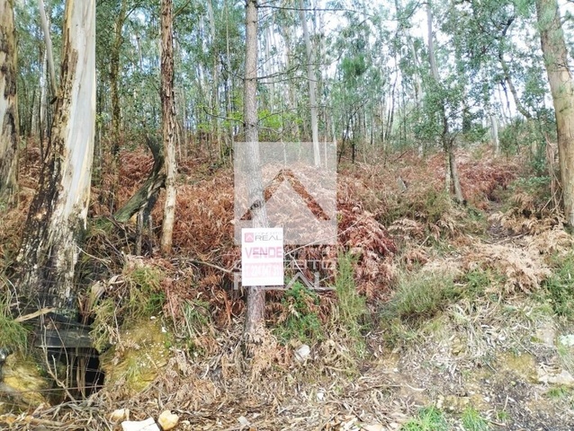 Terreno Rstico - Fnzeres, Gondomar, Porto - Imagem grande