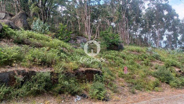 Terreno Rstico - OLIVEIRA, Vila Nova de Famalico, Braga - Imagem grande