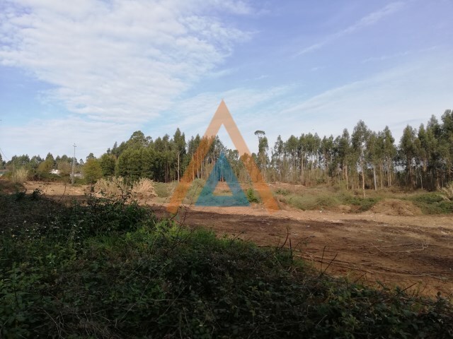 Terreno Urbano - Fornos, Santa Maria da Feira, Aveiro - Imagem grande